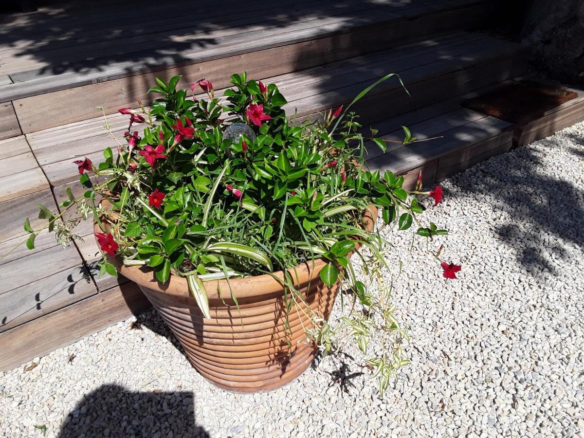 La Bonbonne En Provence Villa Travaillan Luaran gambar